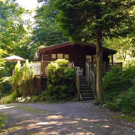 Mistletoe One Luxury Lodge With Hot Tub Windermere Buitenkant foto